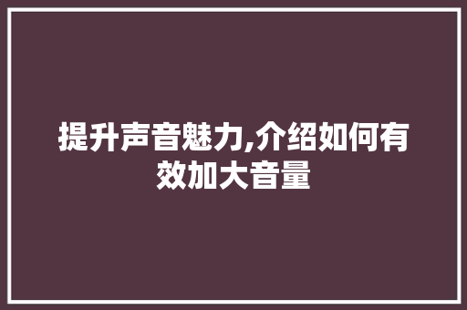 提升声音魅力,介绍如何有效加大音量