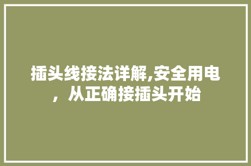 插头线接法详解,安全用电，从正确接插头开始