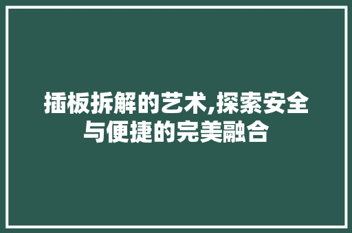 插板拆解的艺术,探索安全与便捷的完美融合