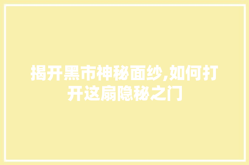 揭开黑市神秘面纱,如何打开这扇隐秘之门