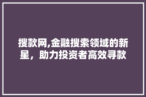 搜款网,金融搜索领域的新星，助力投资者高效寻款