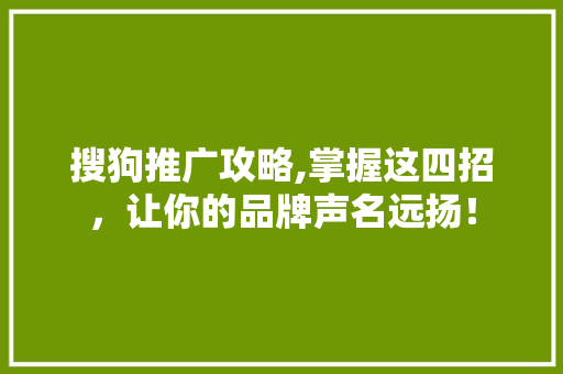 搜狗推广攻略,掌握这四招，让你的品牌声名远扬！