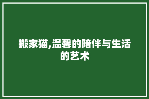 搬家猫,温馨的陪伴与生活的艺术