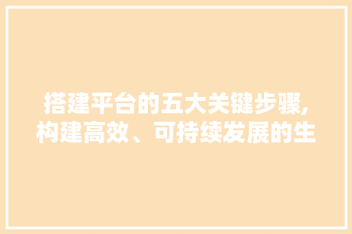 搭建平台的五大关键步骤,构建高效、可持续发展的生态圈