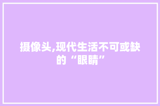 摄像头,现代生活不可或缺的“眼睛”
