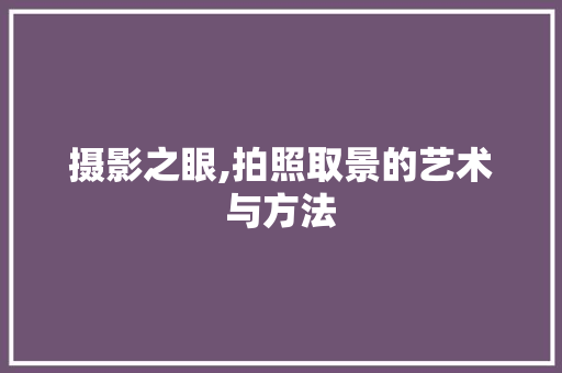 摄影之眼,拍照取景的艺术与方法