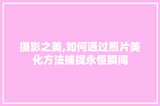摄影之美,如何通过照片美化方法捕捉永恒瞬间