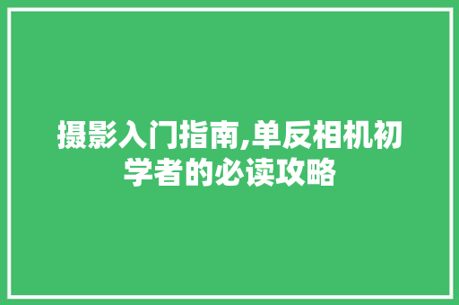 摄影入门指南,单反相机初学者的必读攻略