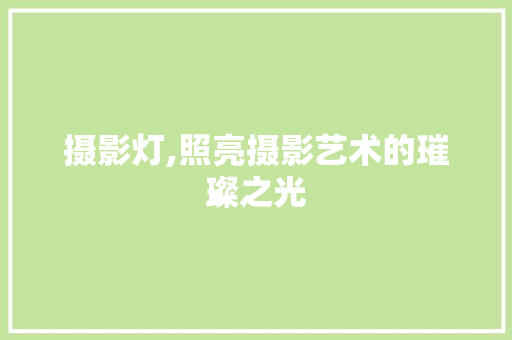 摄影灯,照亮摄影艺术的璀璨之光