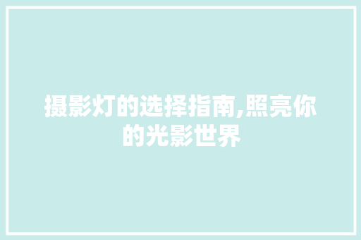 摄影灯的选择指南,照亮你的光影世界