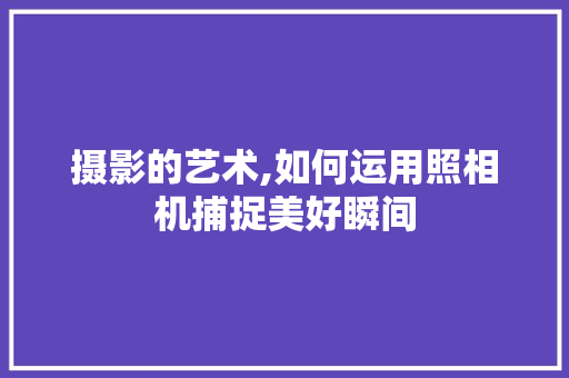 摄影的艺术,如何运用照相机捕捉美好瞬间