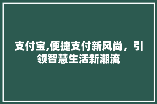 支付宝,便捷支付新风尚，引领智慧生活新潮流