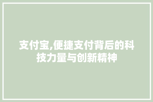 支付宝,便捷支付背后的科技力量与创新精神