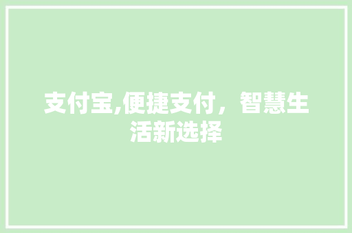 支付宝,便捷支付，智慧生活新选择