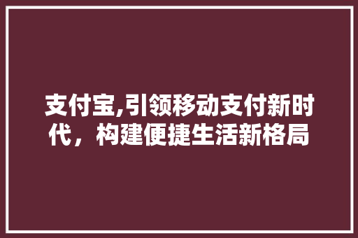 支付宝,引领移动支付新时代，构建便捷生活新格局 友链在线