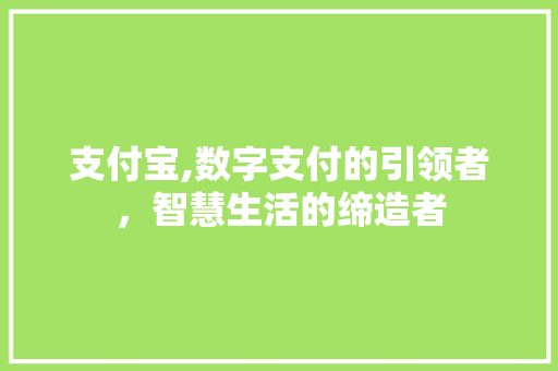 支付宝,数字支付的引领者，智慧生活的缔造者