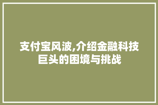 支付宝风波,介绍金融科技巨头的困境与挑战