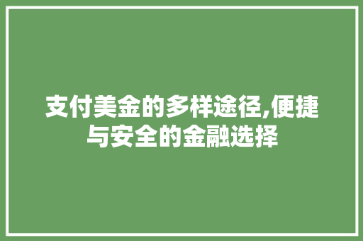 支付美金的多样途径,便捷与安全的金融选择 SEO教程