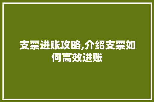 支票进账攻略,介绍支票如何高效进账 建站教程