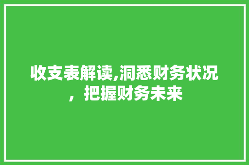 收支表解读,洞悉财务状况，把握财务未来 建站教程