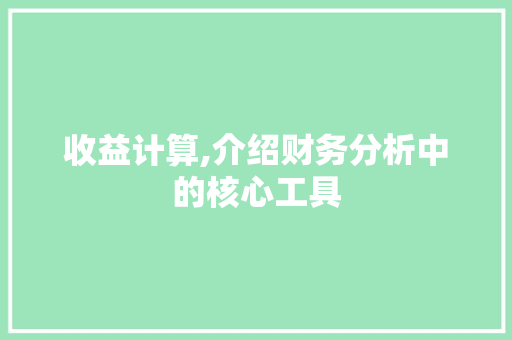 收益计算,介绍财务分析中的核心工具