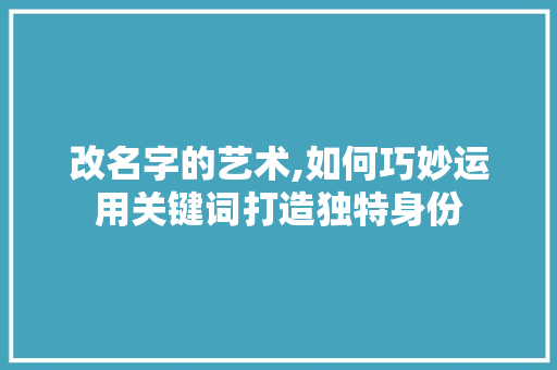 改名字的艺术,如何巧妙运用关键词打造独特身份