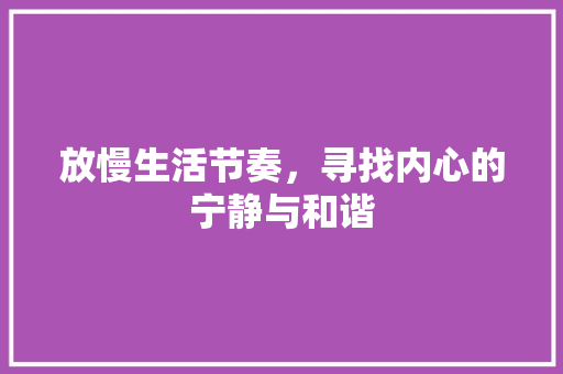 放慢生活节奏，寻找内心的宁静与和谐