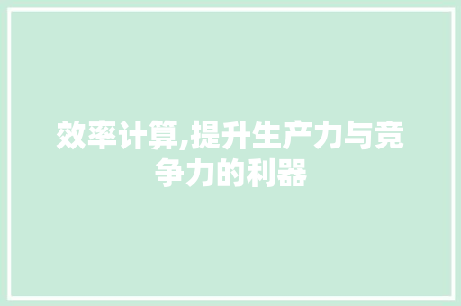 效率计算,提升生产力与竞争力的利器 WordPress教程