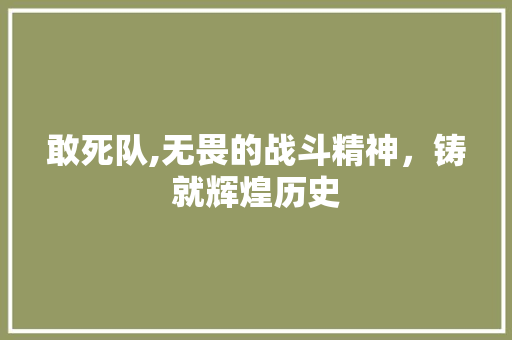 敢死队,无畏的战斗精神，铸就辉煌历史 服务器/数据库