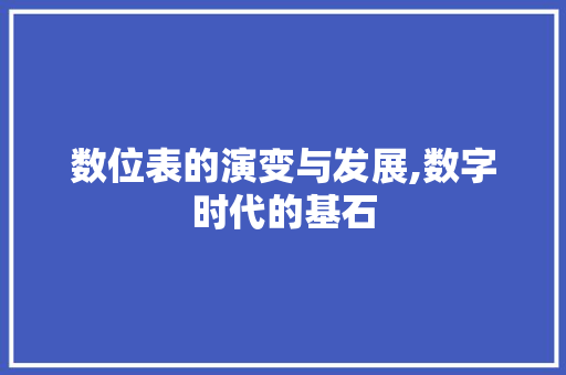 数位表的演变与发展,数字时代的基石 WordPress教程