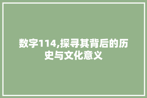 数字114,探寻其背后的历史与文化意义 友链在线