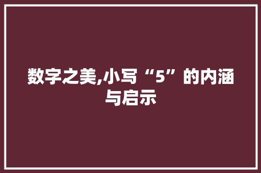 数字之美,小写“5”的内涵与启示