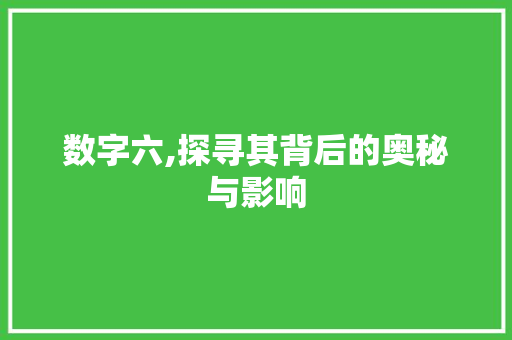 数字六,探寻其背后的奥秘与影响