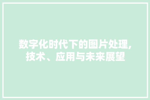 数字化时代下的图片处理,技术、应用与未来展望