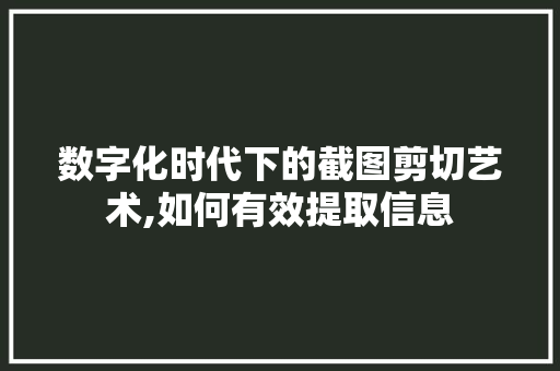 数字化时代下的截图剪切艺术,如何有效提取信息