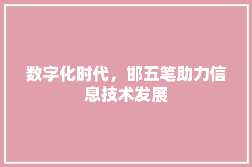 数字化时代，邯五笔助力信息技术发展
