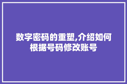 数字密码的重塑,介绍如何根据号码修改账号