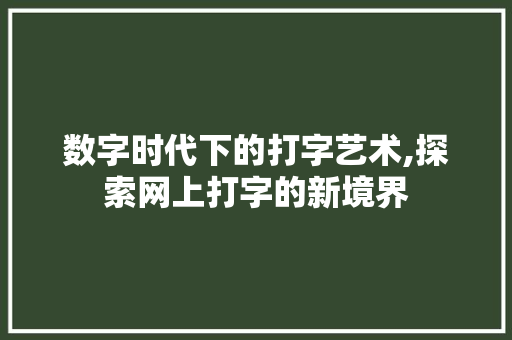 数字时代下的打字艺术,探索网上打字的新境界