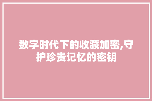 数字时代下的收藏加密,守护珍贵记忆的密钥