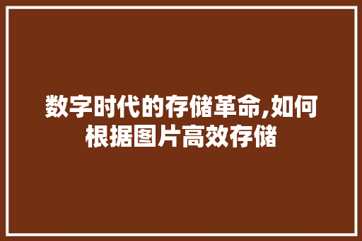 数字时代的存储革命,如何根据图片高效存储