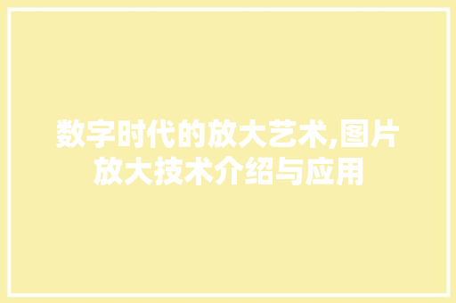 数字时代的放大艺术,图片放大技术介绍与应用
