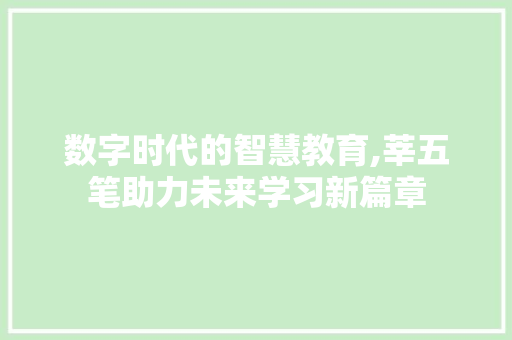 数字时代的智慧教育,莘五笔助力未来学习新篇章