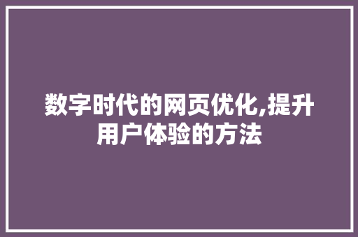 数字时代的网页优化,提升用户体验的方法