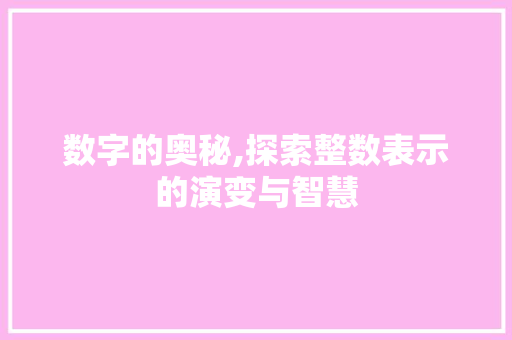 数字的奥秘,探索整数表示的演变与智慧