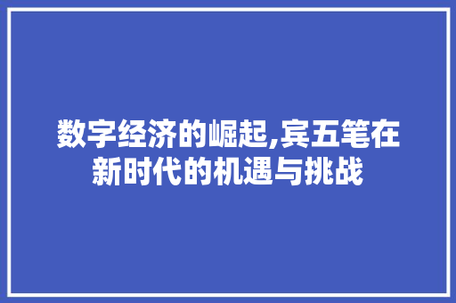数字经济的崛起,宾五笔在新时代的机遇与挑战 WordPress教程