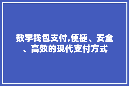 数字钱包支付,便捷、安全、高效的现代支付方式