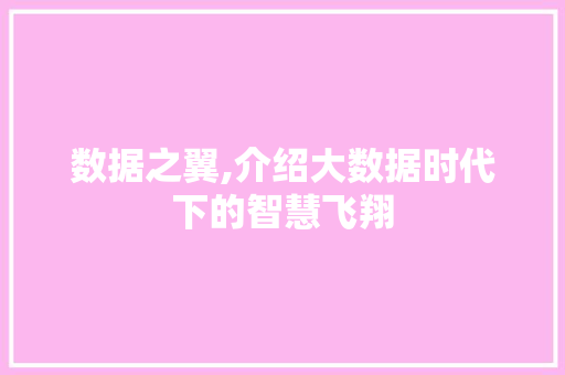 数据之翼,介绍大数据时代下的智慧飞翔