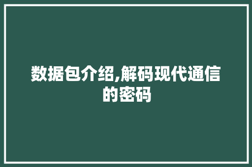 数据包介绍,解码现代通信的密码