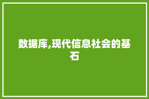 数据库,现代信息社会的基石