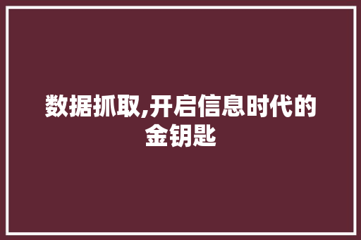 数据抓取,开启信息时代的金钥匙